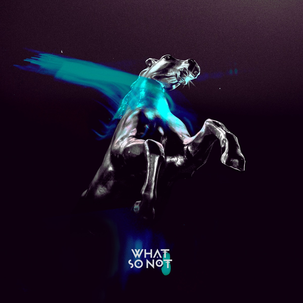 Not All the Beautiful Things by What So Not album cover