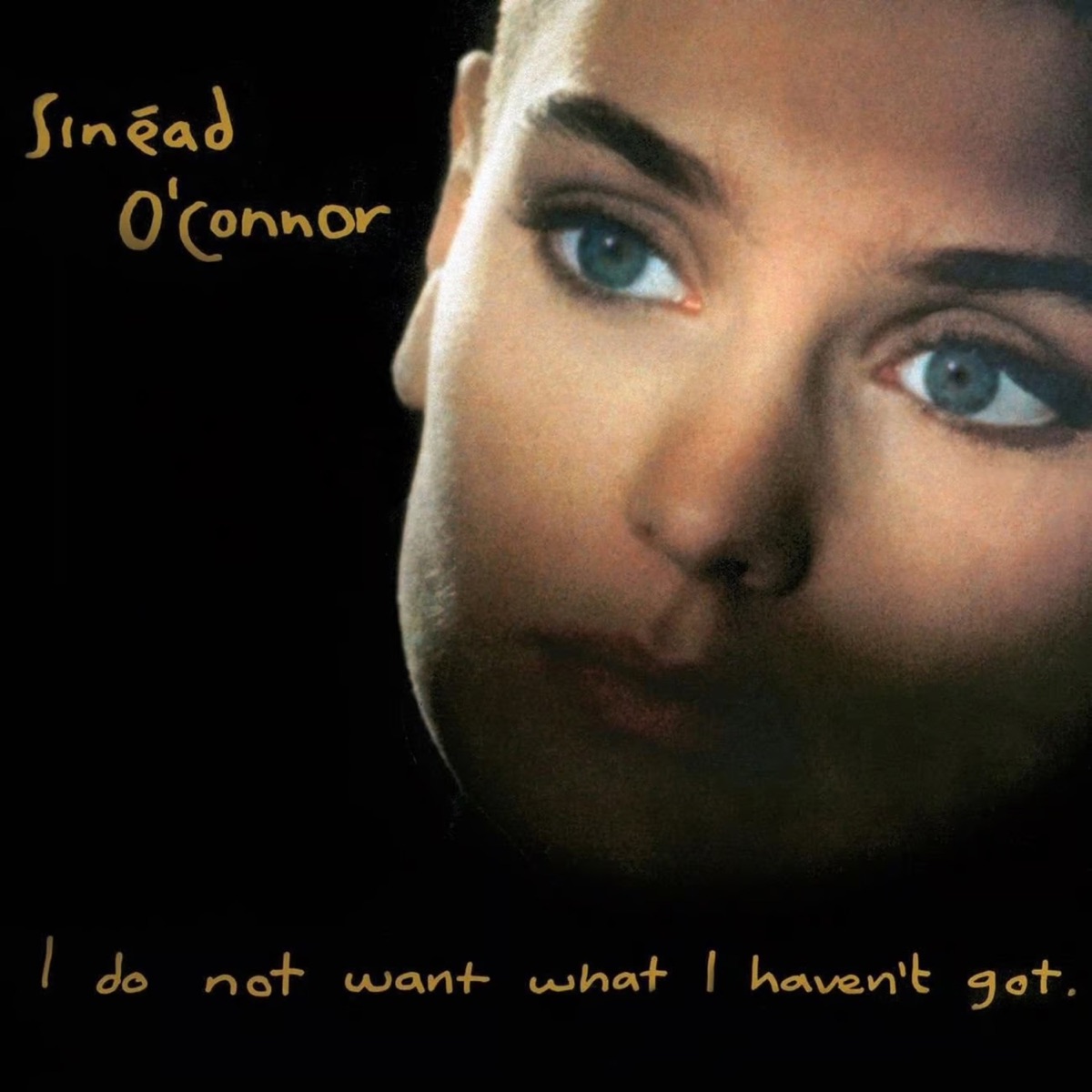 I Do Not Want What I Haven't Got by Sinéad O'Connor album cover