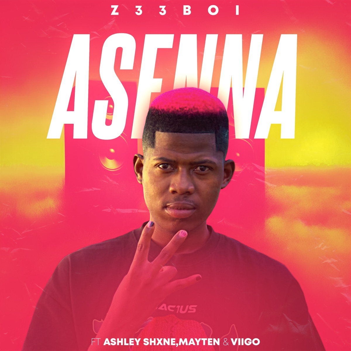 Asenna (feat. Ashely Shxne, Mayten & Virgo) - Single by Z33BOI album cover