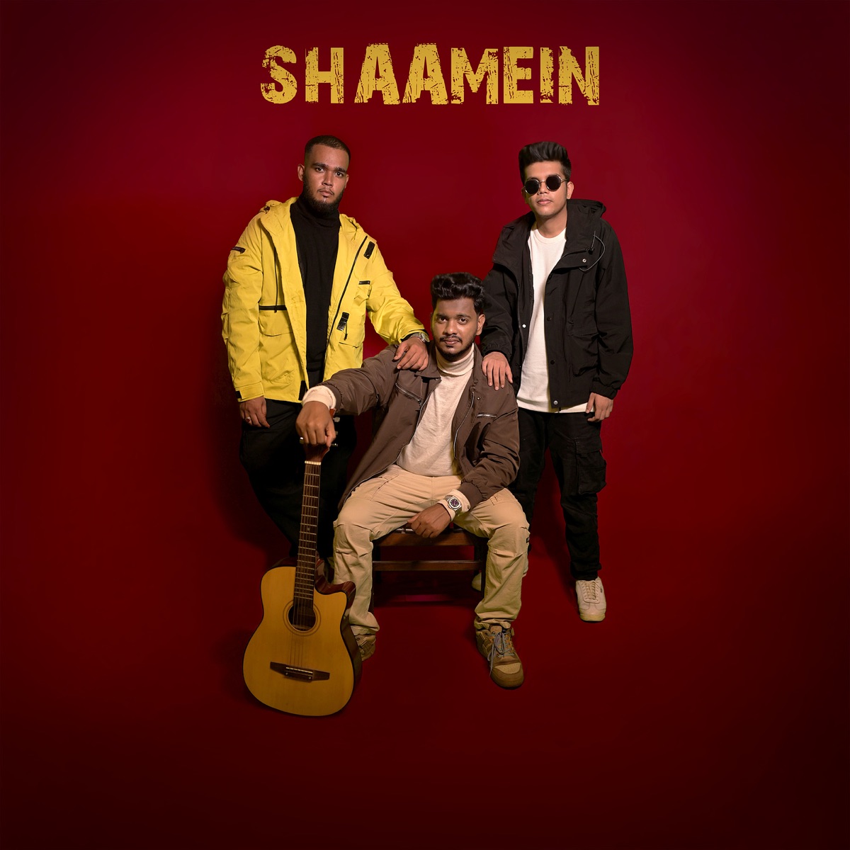 Shaamein - Single by Rockstar, Robinhoood & VOLTAIRE album cover