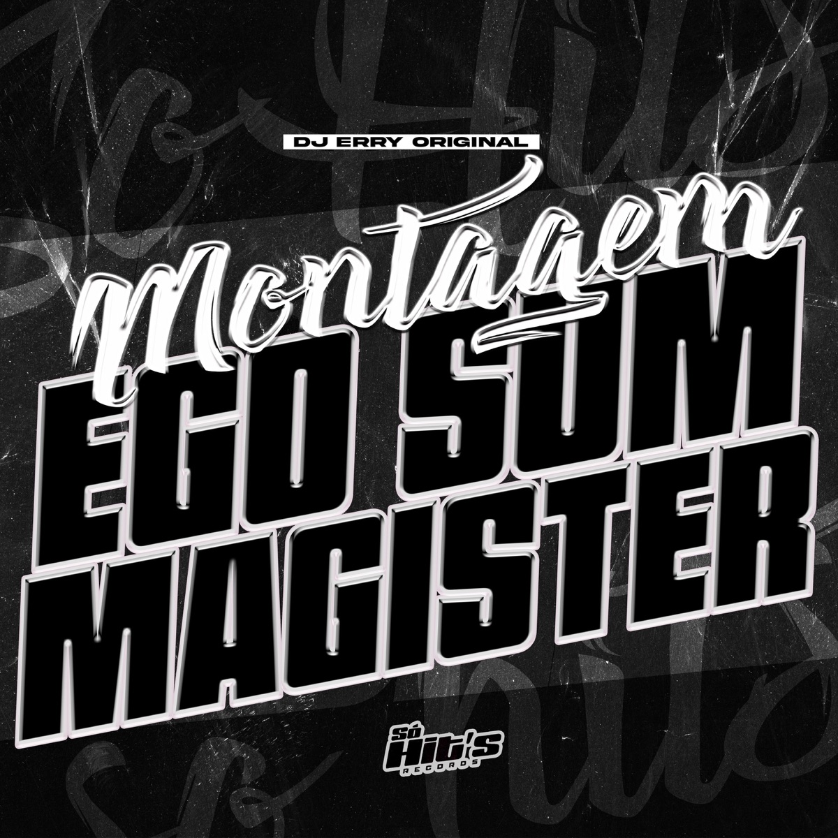 Montagem Ego Sum Magister - Single by DJ ERRY ORIGINAL album cover