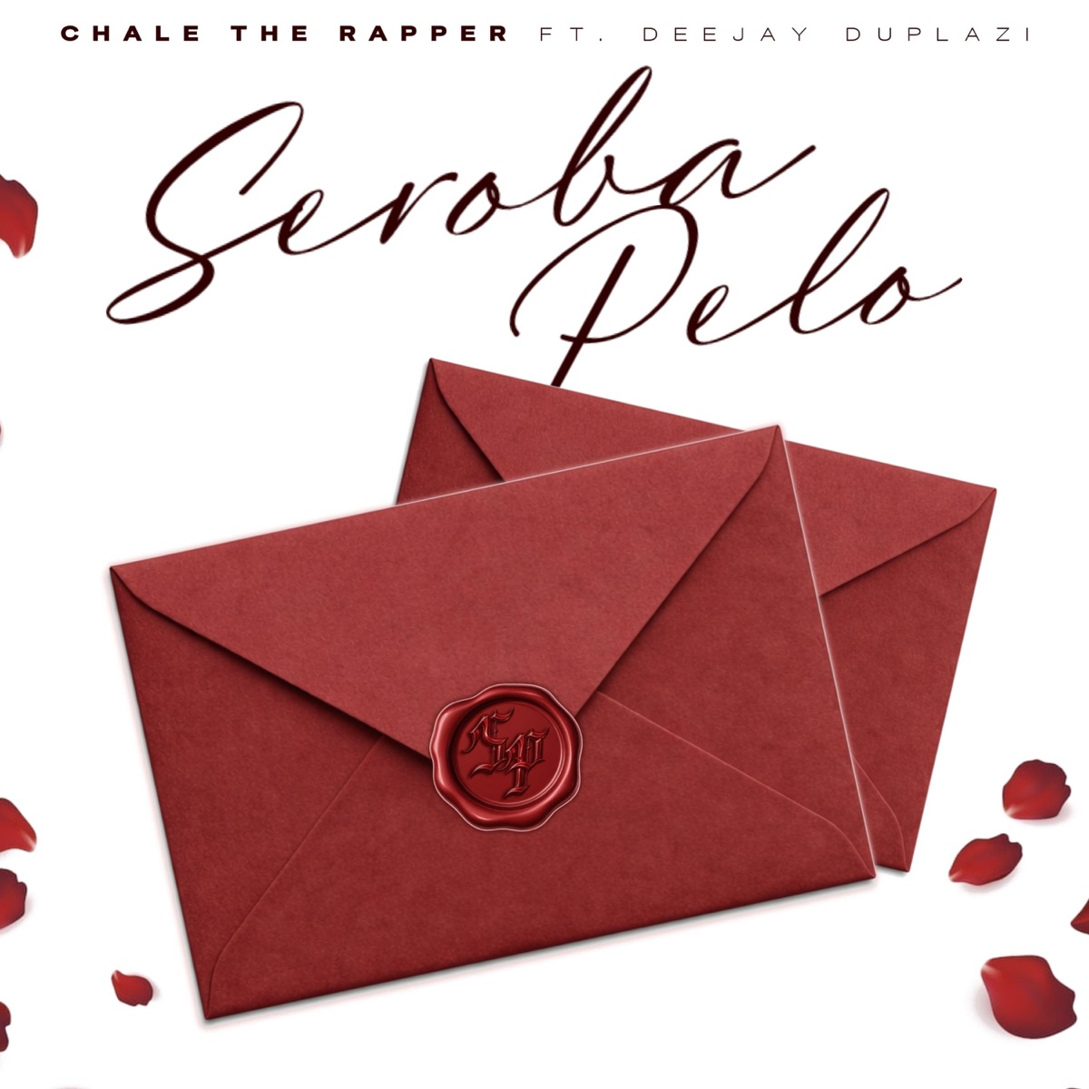 Seroba Pelo - Single by Deejay Duplazi album cover