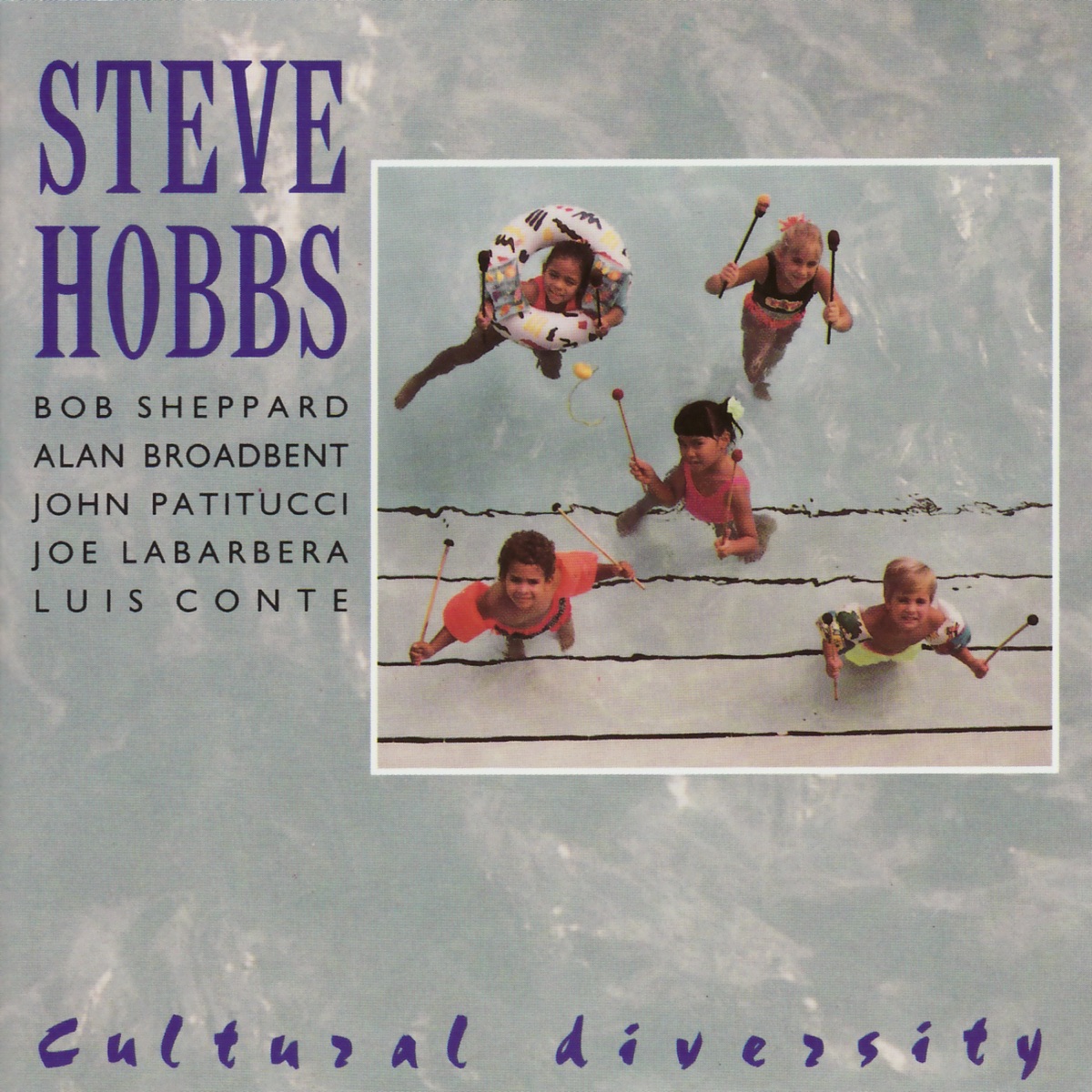 Cultural Diversity (feat. Bob Sheppard, Alan Broadbent, John Patitucci, Luis Conte & Joe LaBarbera) by Steve Hobbs album cover