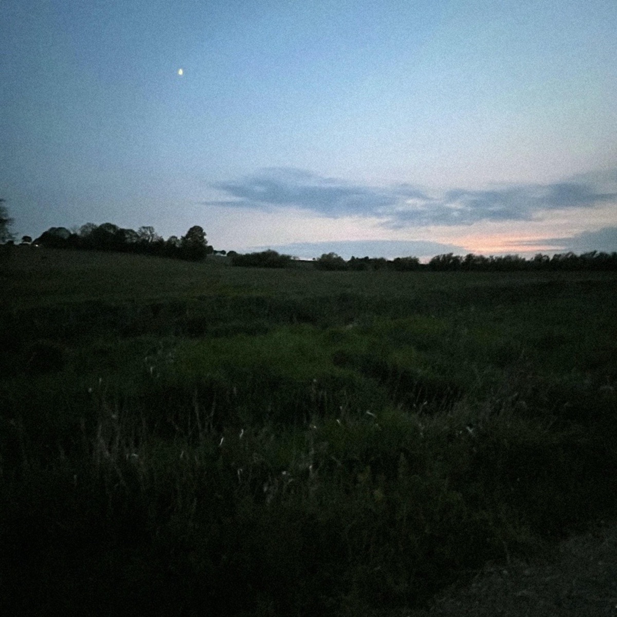where the river meets the lake - Single by Raynix album cover