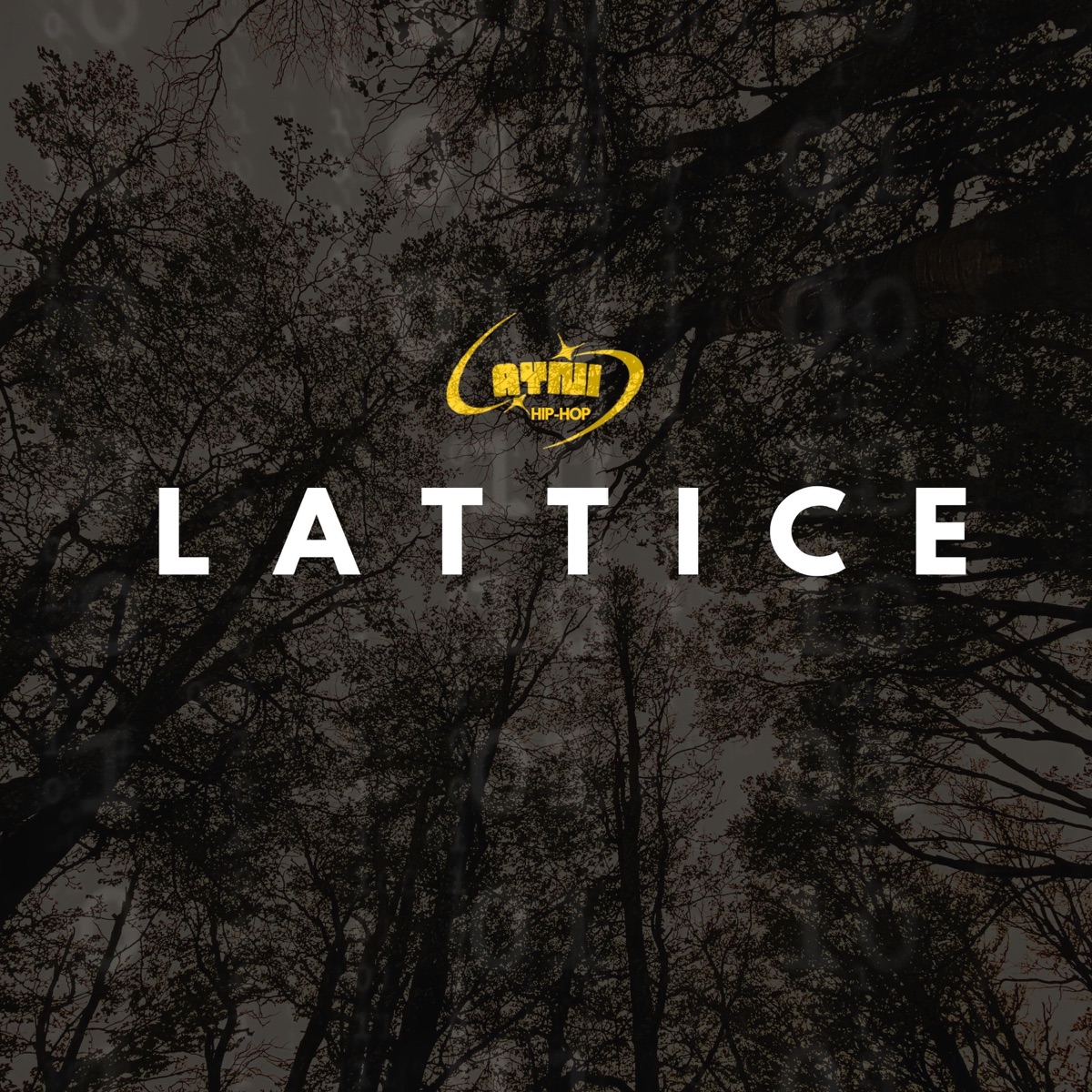 Lattice - Single by Ayni Hiphop album cover