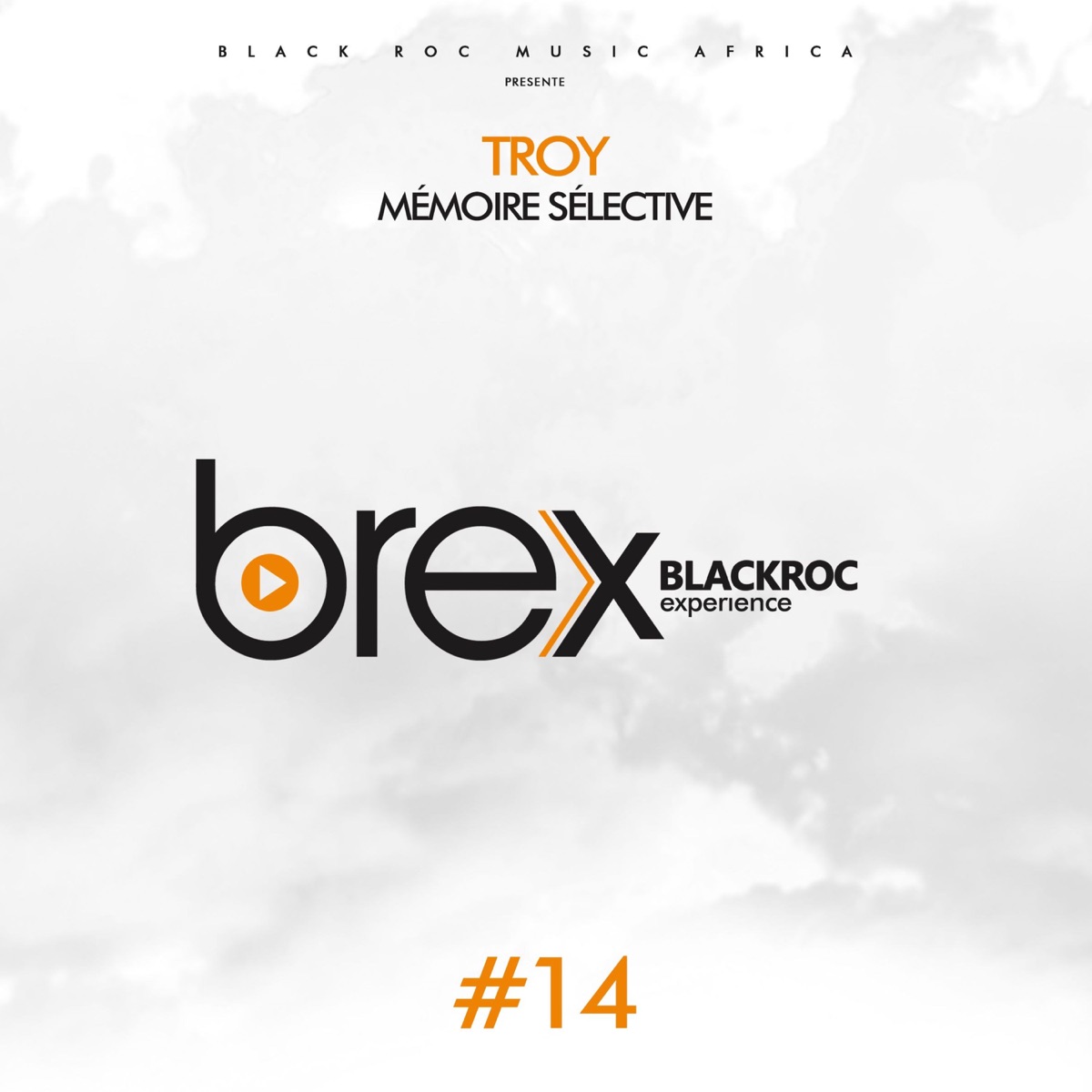 Mémoire sélective (Black Roc Expérience #14) - Single by Troy album cover