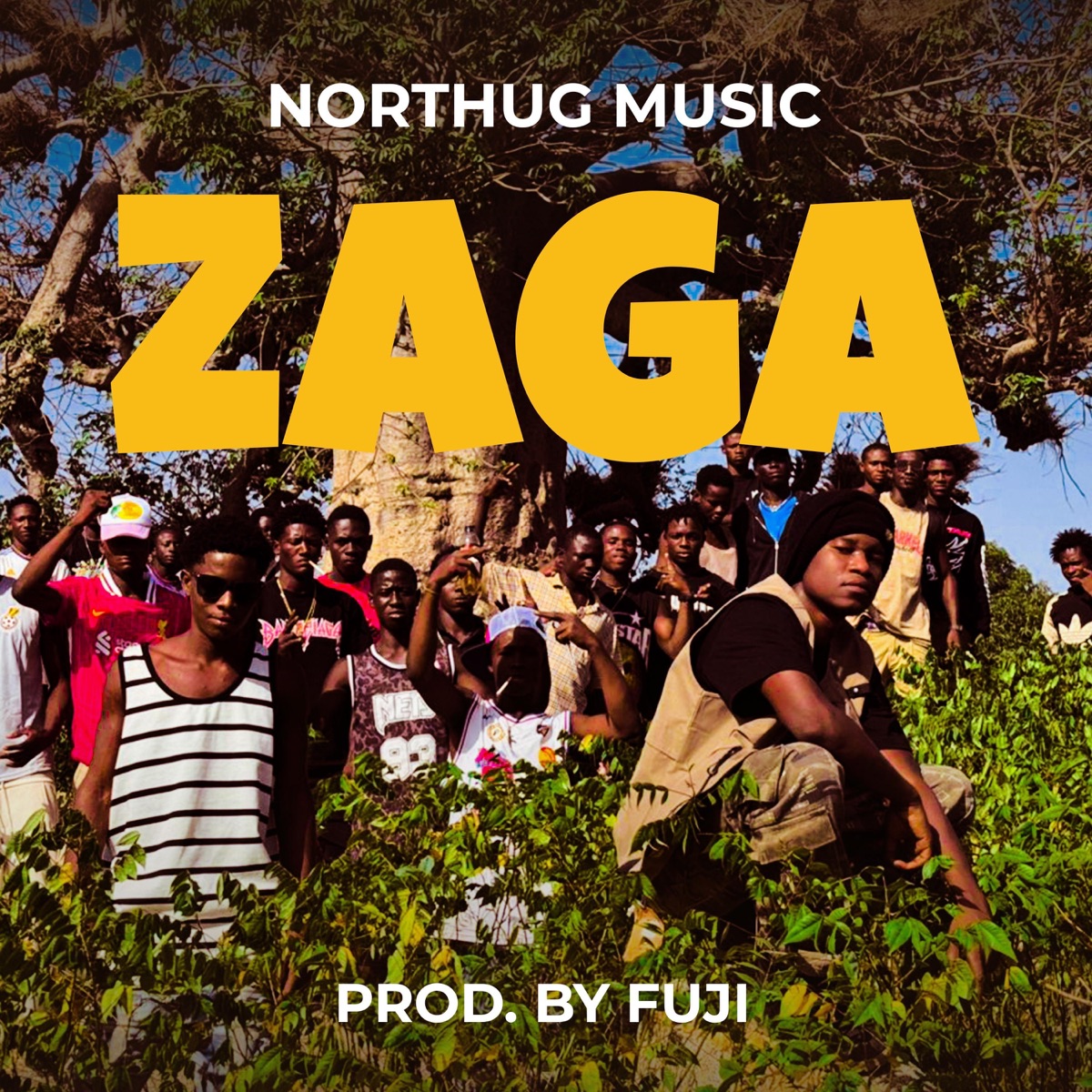 Zaga - Single by NorThug album cover