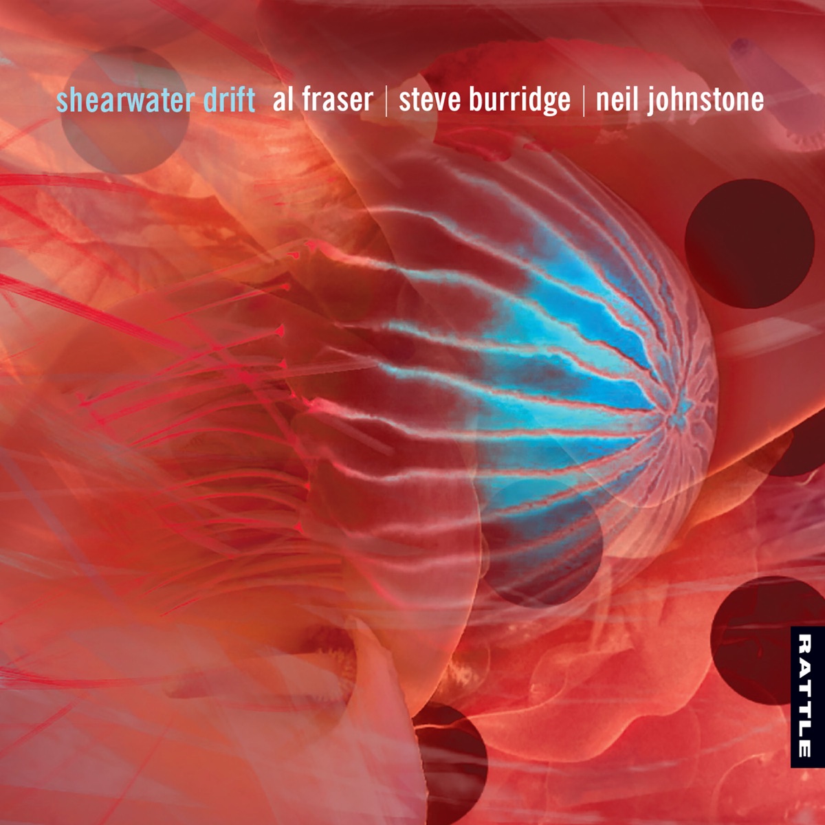 Shearwater Drift by Al Fraser, Steve Burridge & Neil Johnstone album cover