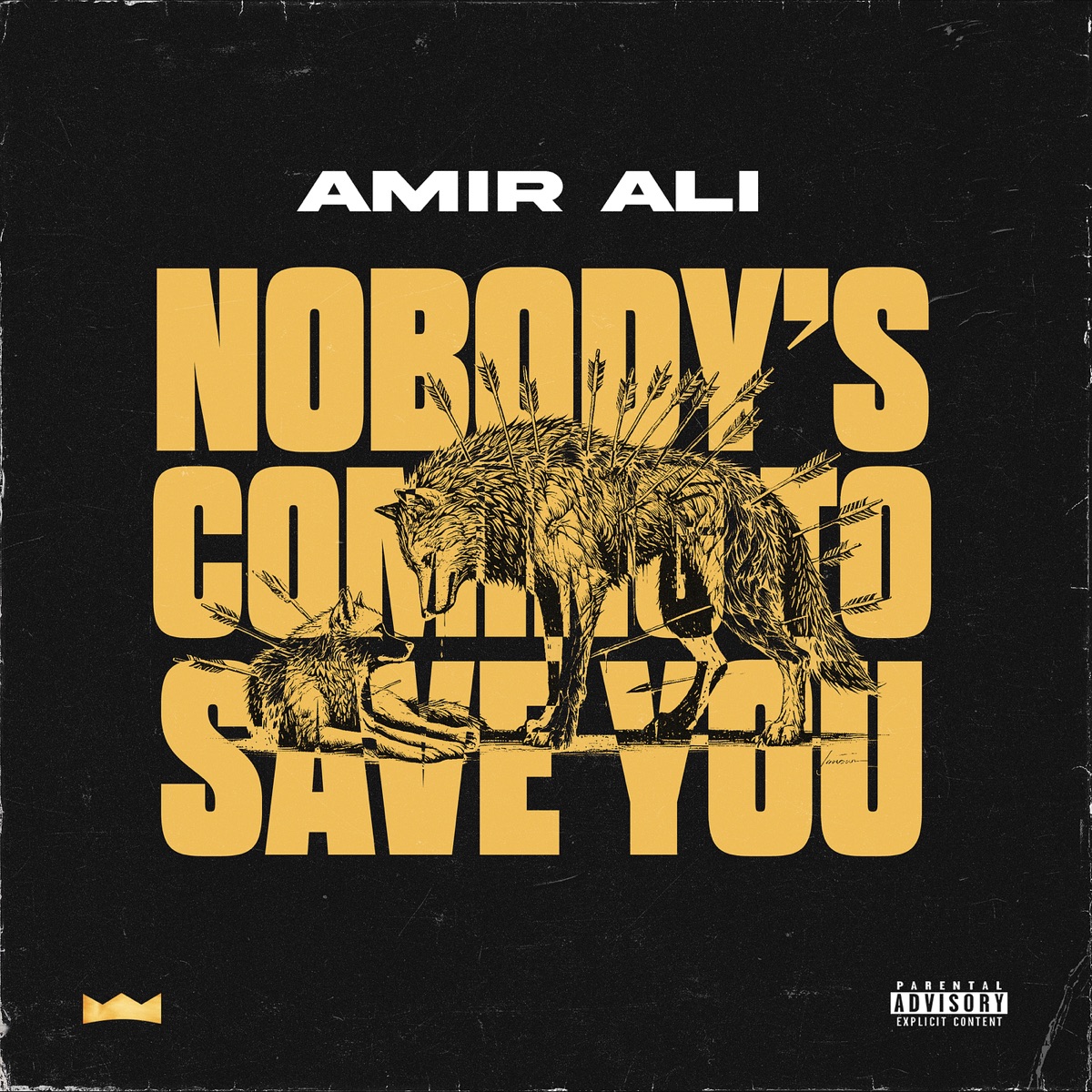 Nobody's Coming to Save You - Single by Amir Ali album cover