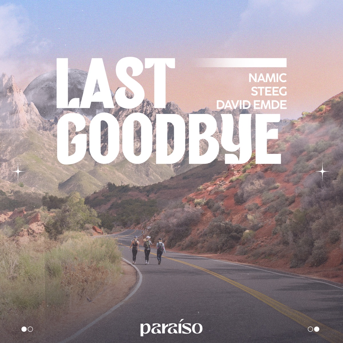 Last Goodbye - Single by Namic, Steeg & David Emde album cover