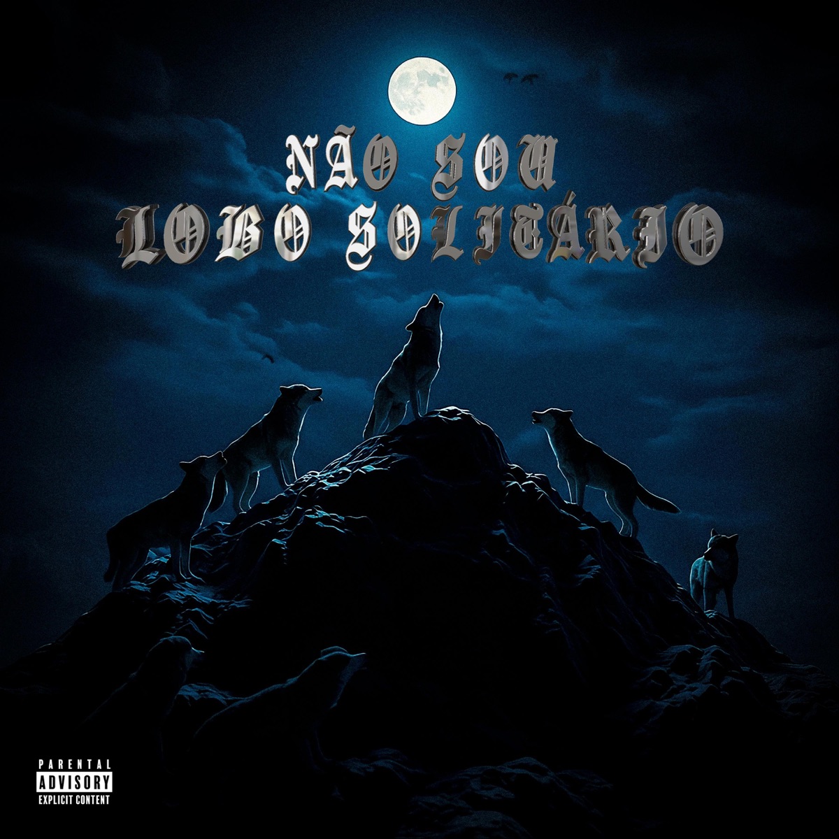 NÃO SOULOBO SOLITÁRIO - Single by XDIP album cover