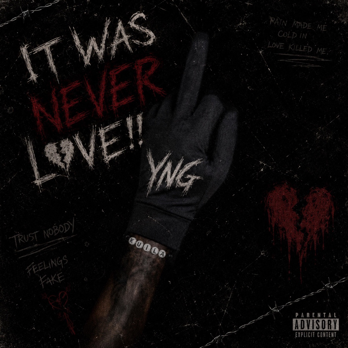 IT WAS NEVER LOVE!! - Single by Young Naughty G album cover