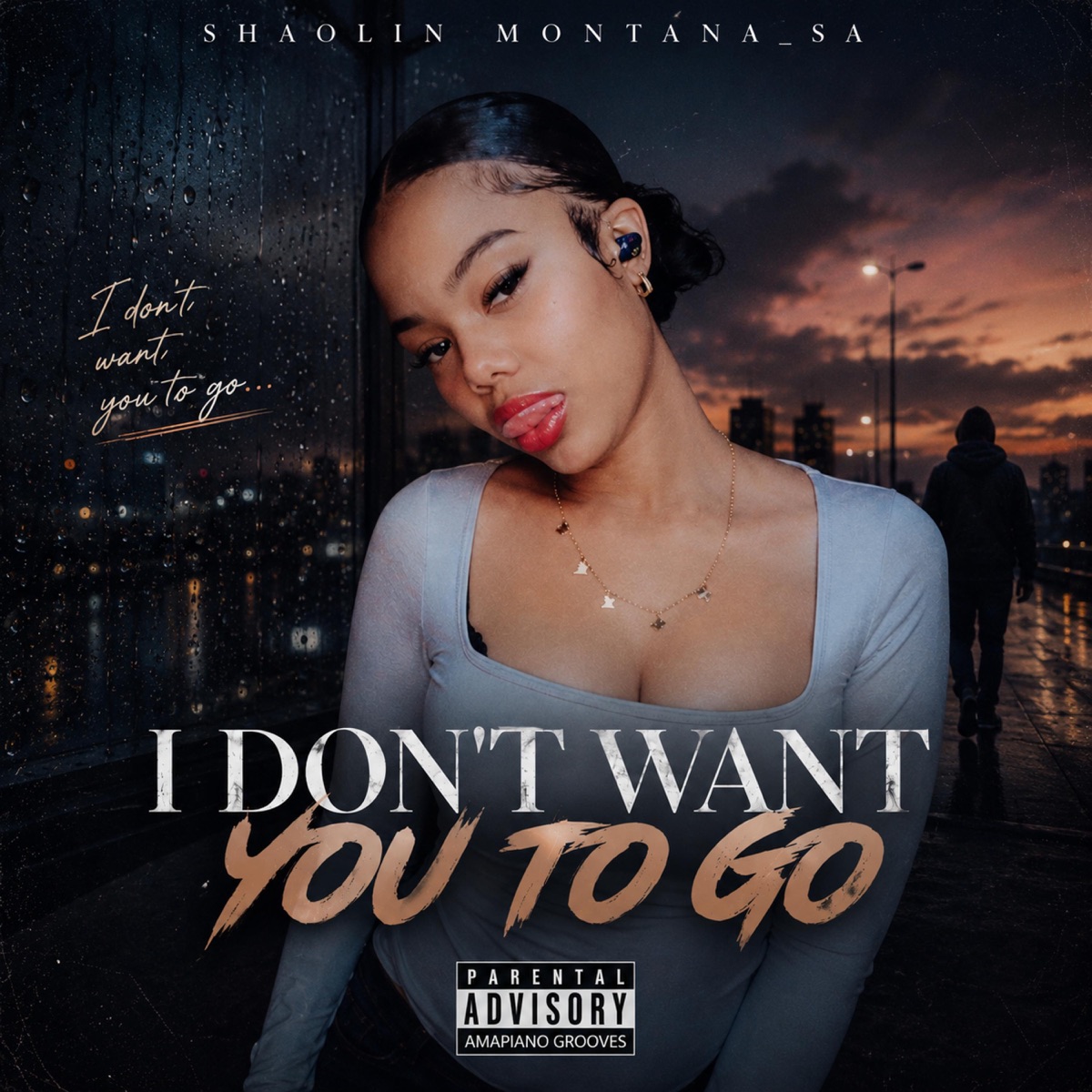 IDWYTG - Single by Shaolin Montana _SA album cover
