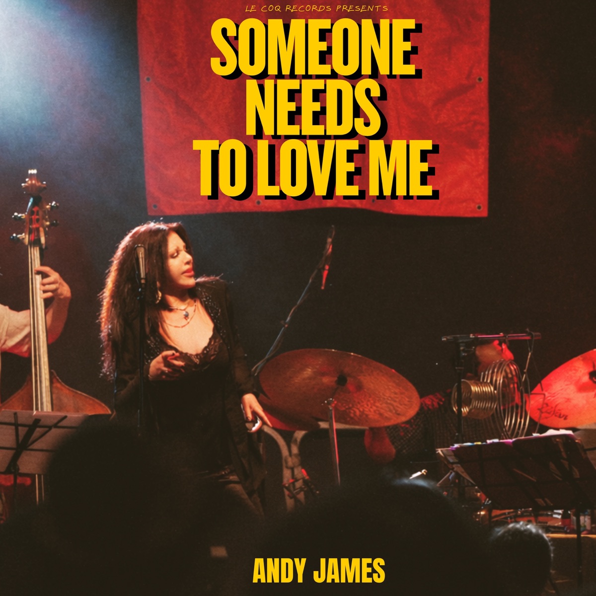 Someone Needs To Love Me (feat. Jon Cowherd, James Genus, Nate Smith, Chico Pinheiro, John Beasley, Alex Acuña, Rudy Royston & John Ellis) - Single by Andy James album cover