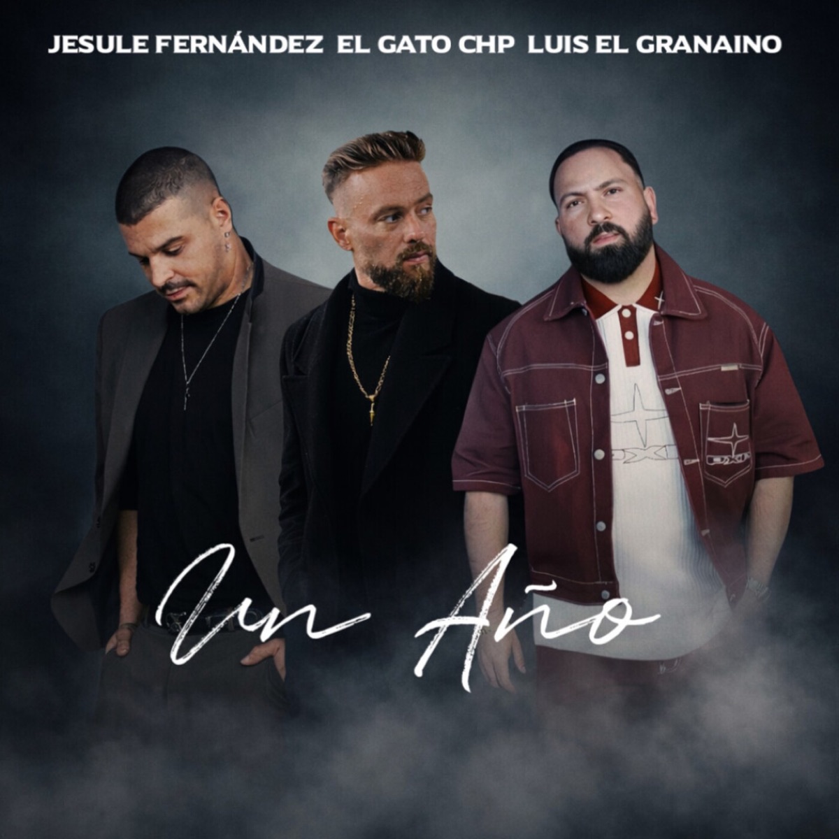 UN AÑO - Single by El Gato CHP, Luis El Granaino & Jesule Fernández album cover