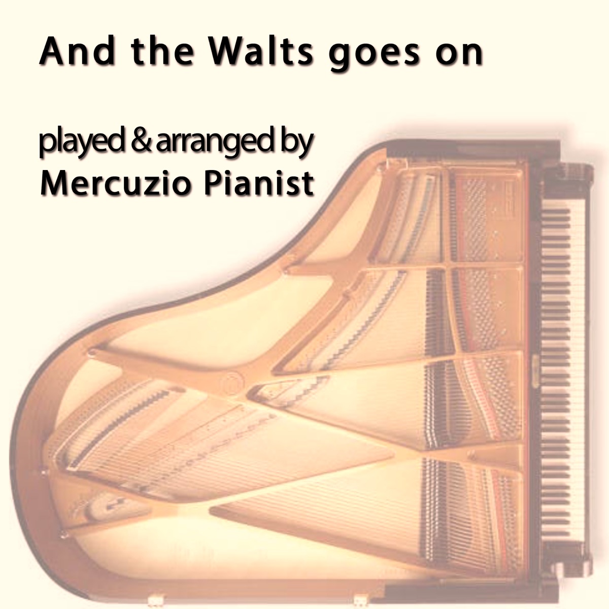 And the Waltz Goes On - Single by Mercuzio Pianist album cover