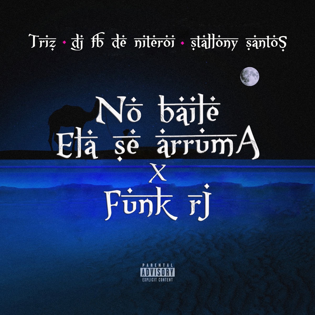 No Baile Ela Se Arruma X Funk Rj - Single by Triz, DJ Fb de Niteroi & Stallony Santos album cover