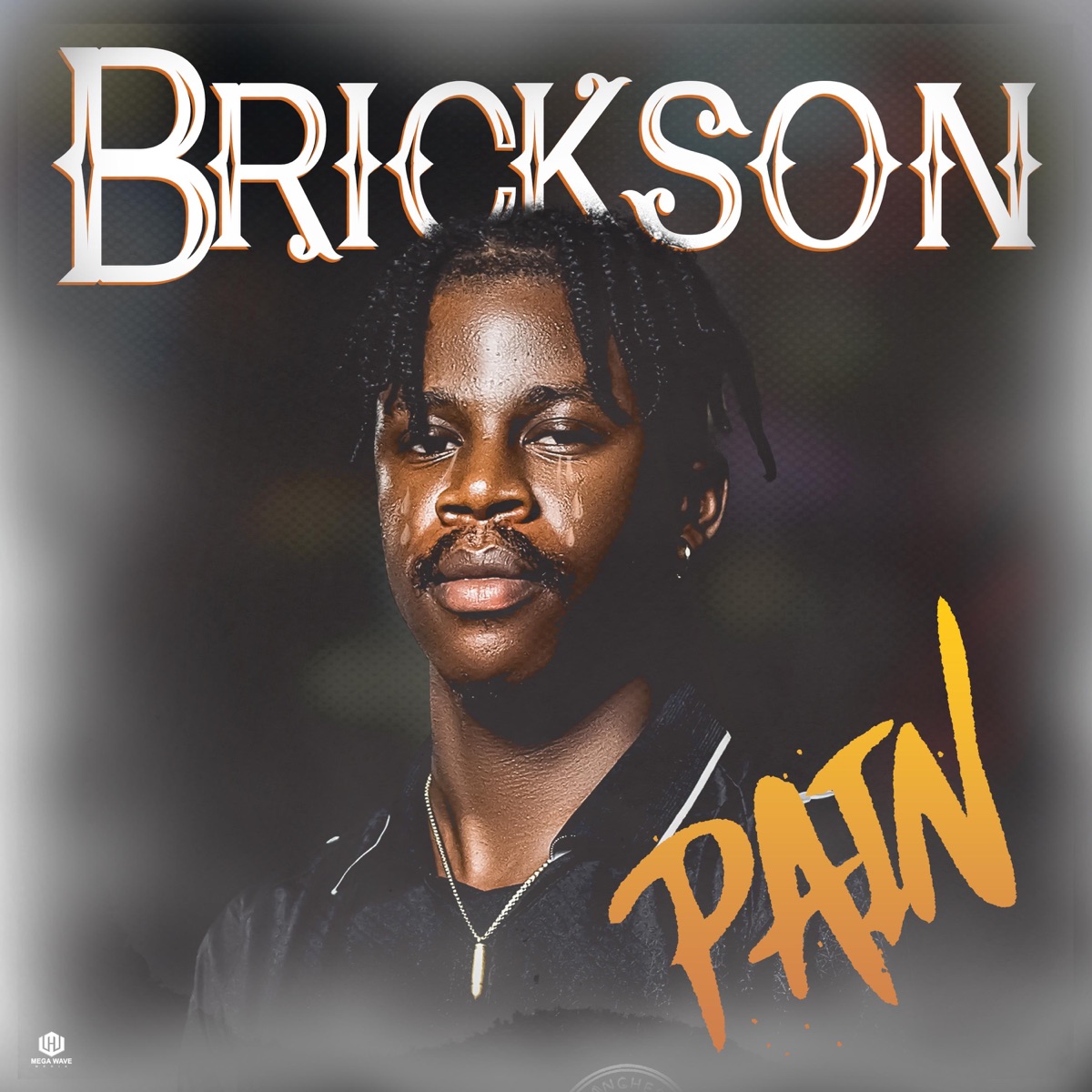 PAIN - Single by BRICKSON album cover