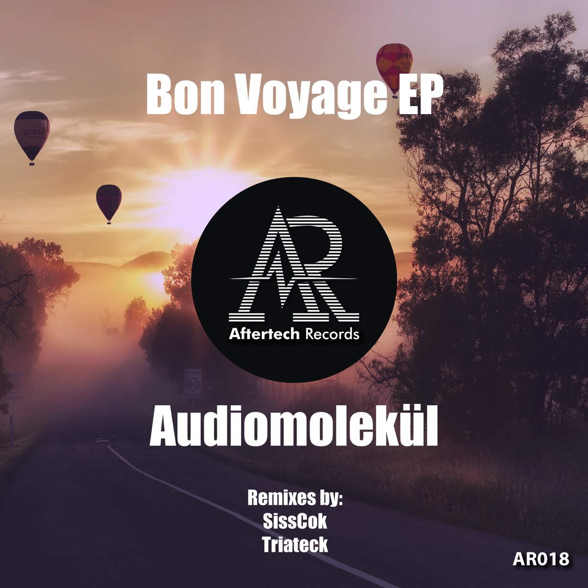 Bon Voyage by Audiomolekul album cover
