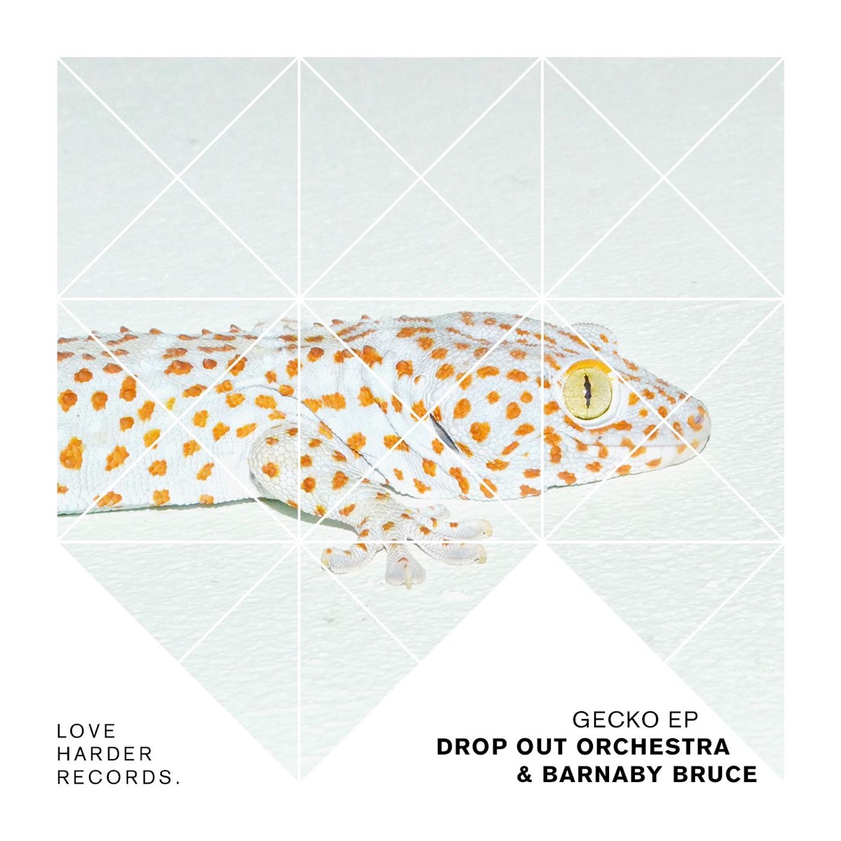 Gecko - EP by Drop Out Orchestra & Barnaby album cover