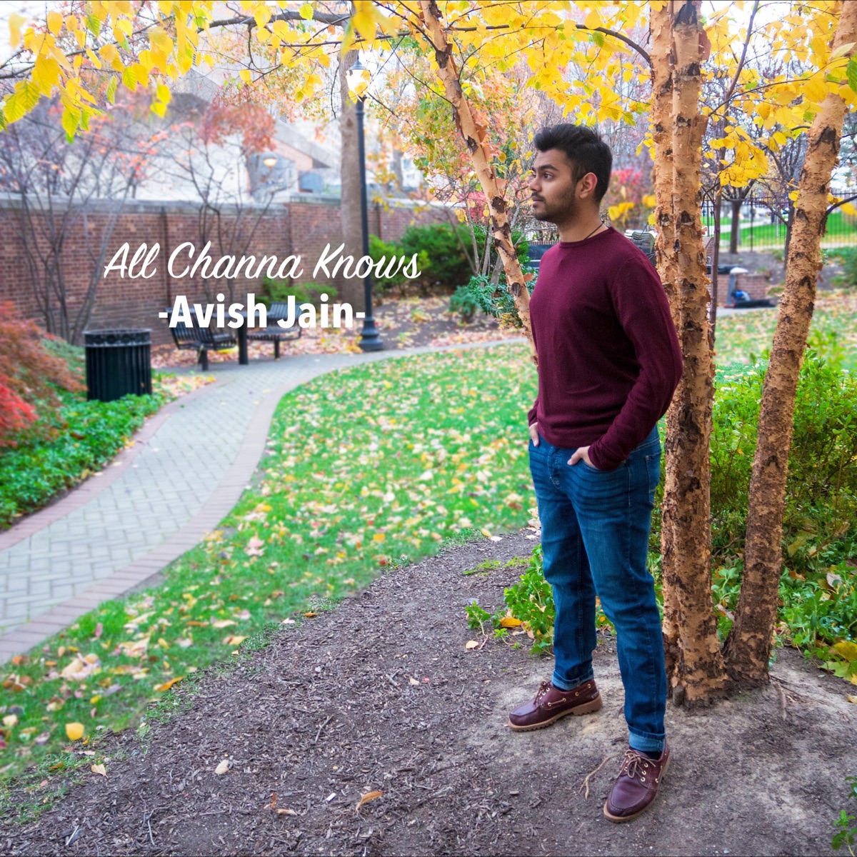 All Channa Knows - Single by Avish Jain album cover