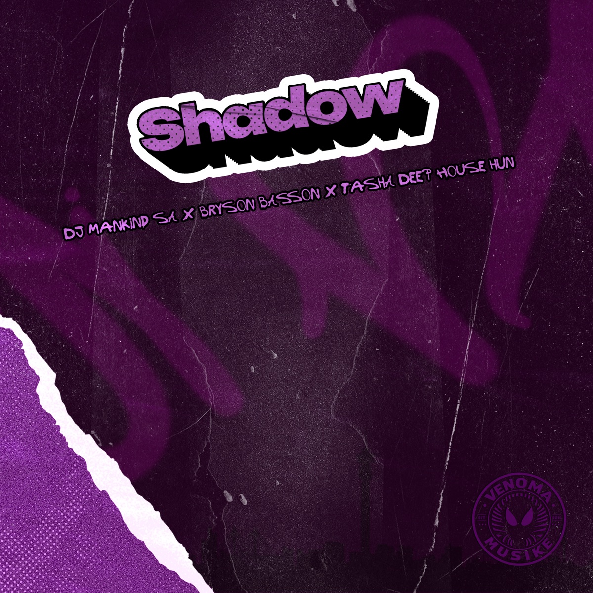 Shadow - Single by Dj Mankind SA, Bryson Basson & Tasha Deep House Hun album cover