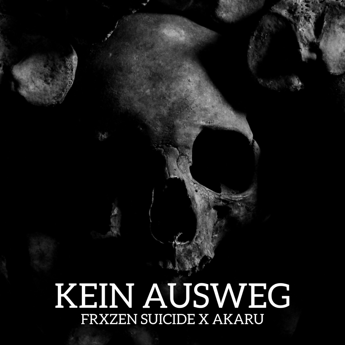 Kein Ausweg - Single by FRXZEN SUICIDE & Akaru album cover