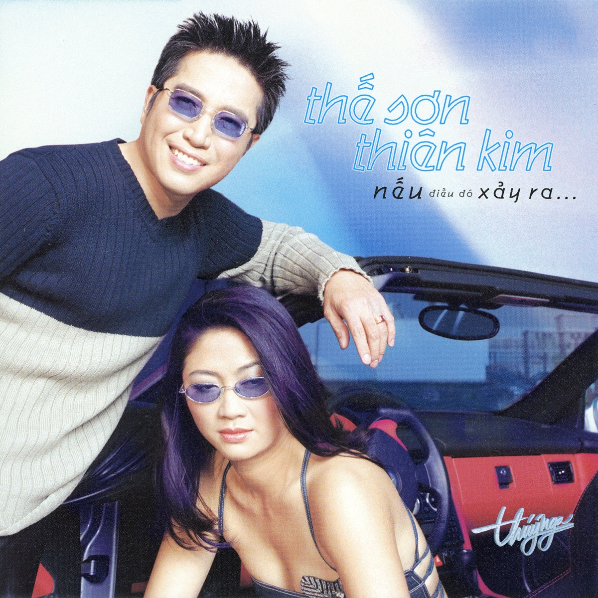 Nếu Điều Đó Xảy Ra by Thien Kim & Thế Sơn album cover