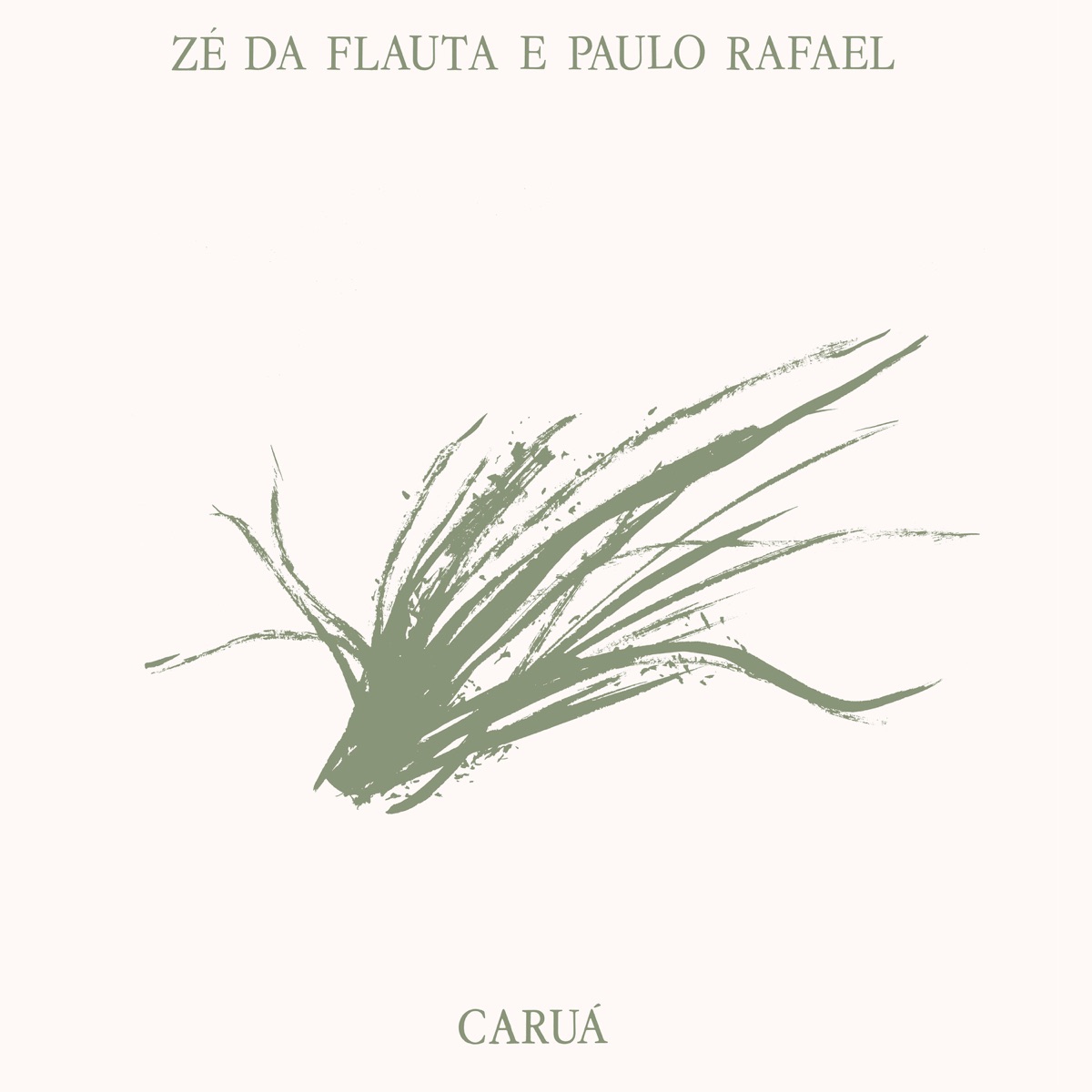 Caruá by Ze da Flauta & Paulo Rafael album cover