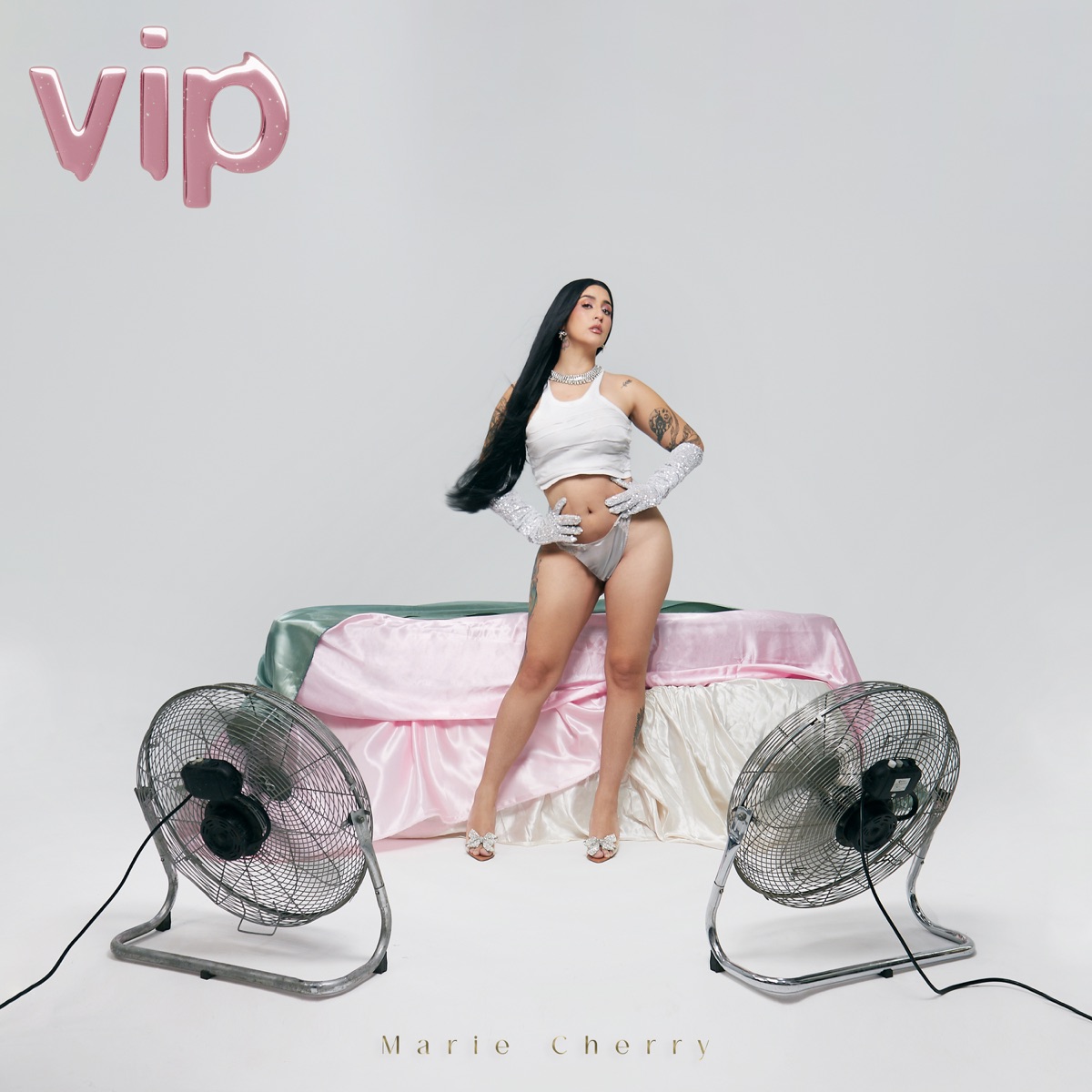 VIP - Single by Marie Cherry album cover