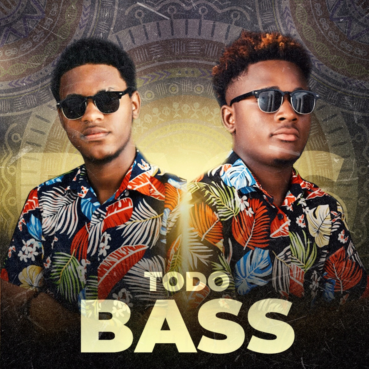 Todo Bass (feat. DJ Inácio Mágico) - Single by DJ Jildo Júnior album cover