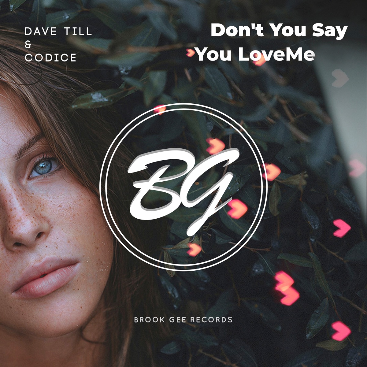 Don't You Say You Love Me - Single by Dave Till & Codice album cover