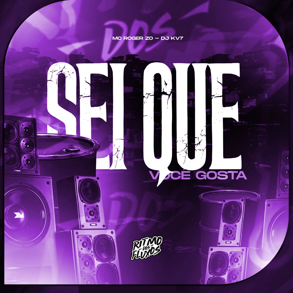 Sei Que Você Gosta - Single by DJ KV7 & Mc Roger ZO album cover