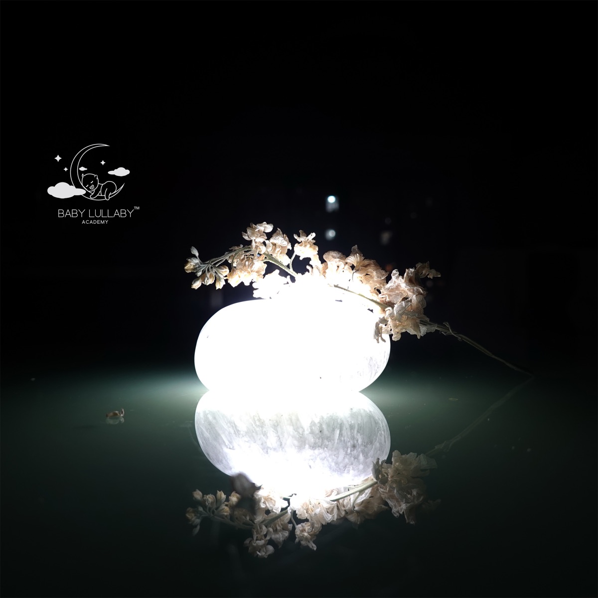 Nest of Silver Petals by Baby Lullaby Academy album cover artwork