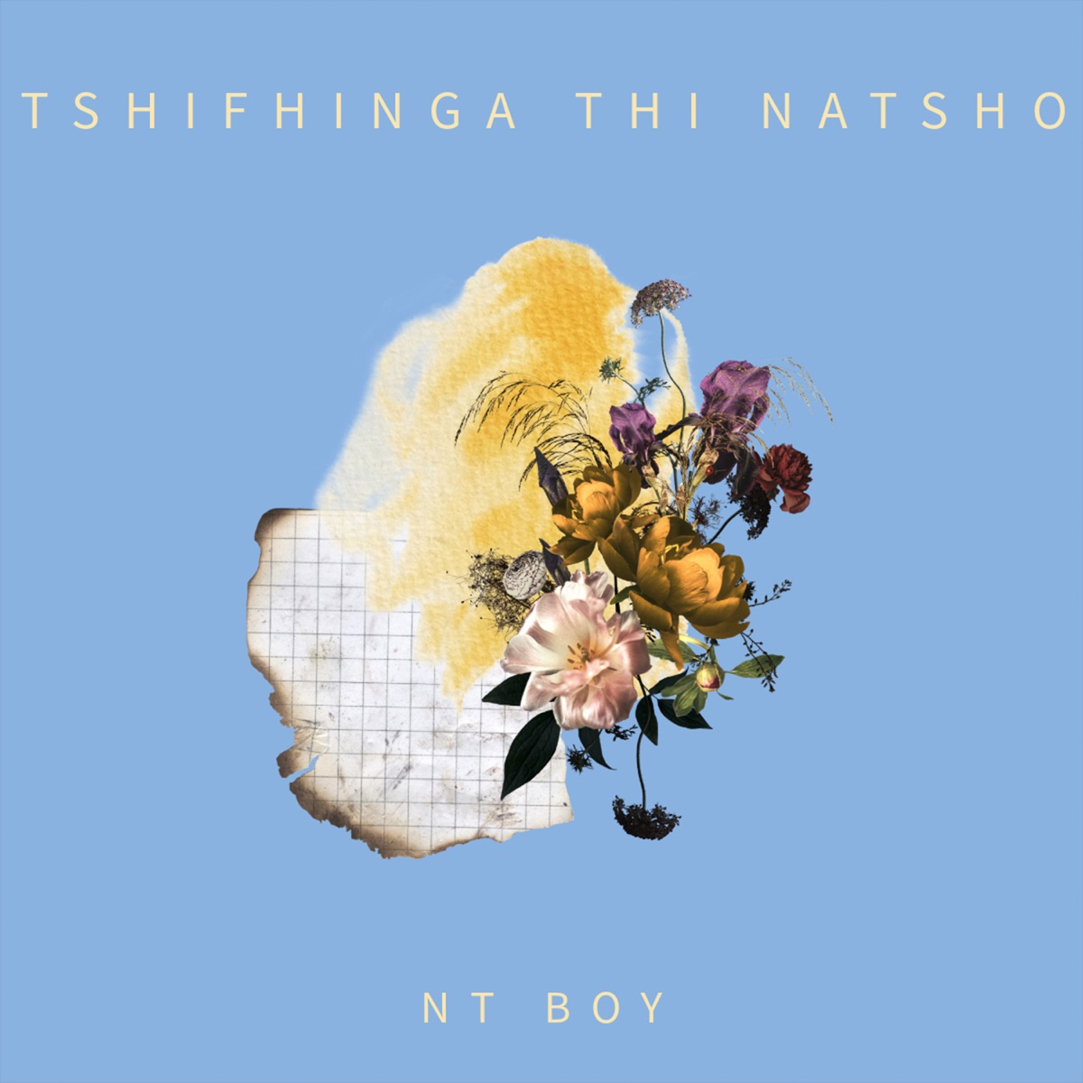 Tshifhinga thi natsho - Single by NT BOY album cover