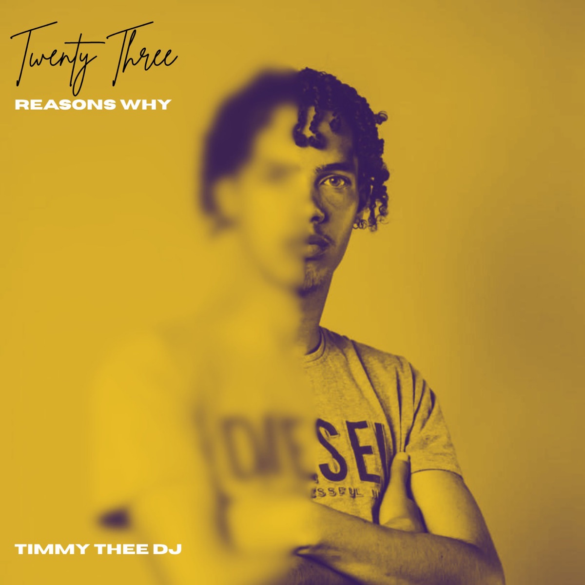 Twenty Three Reasons Why by Timmy Thee Dj album cover