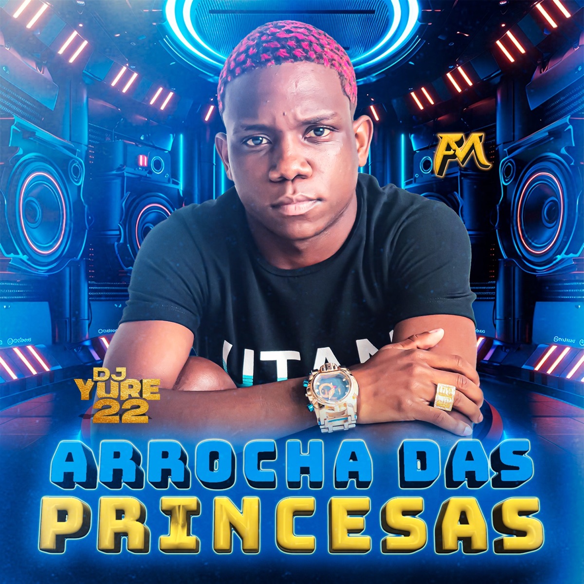 Arrocha Das Princesas - Single by DJ Yure 22 & Funk Maia album cover