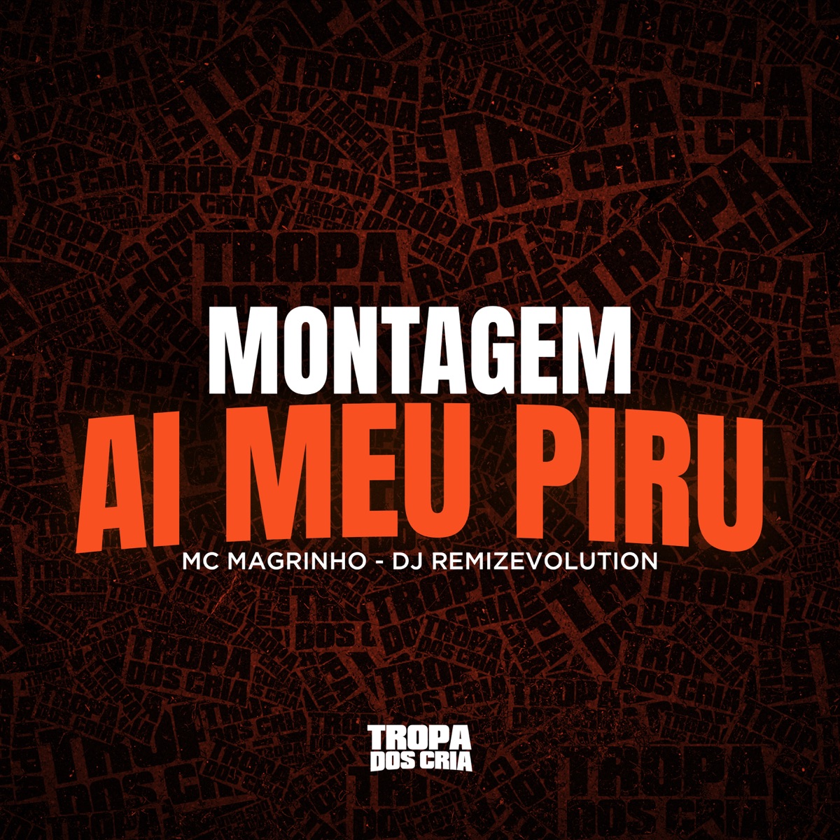 Montagem Ai Meu Piru - Single by DJ REMIZEVOLUTION & Mc Magrinho album cover