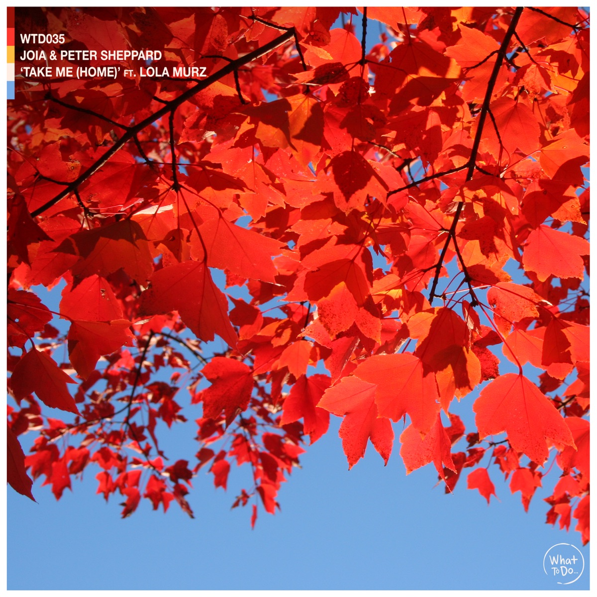 Take Me (Home) [feat. Lola Murz] - Single by JOIA & Peter Sheppard album cover