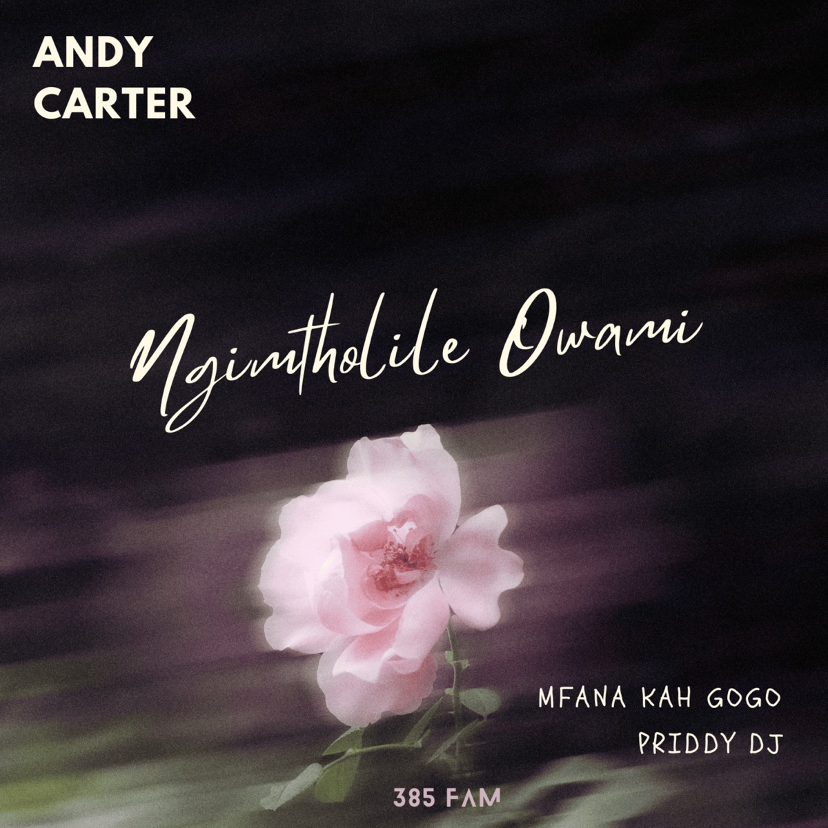 Ngimtholile Owami (feat. Priddy DJ) - Single by Andy Carter & Mfana Kah Gogo album cover