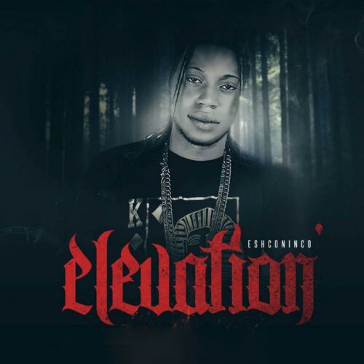 Elevation - Single by Eshconinco album cover