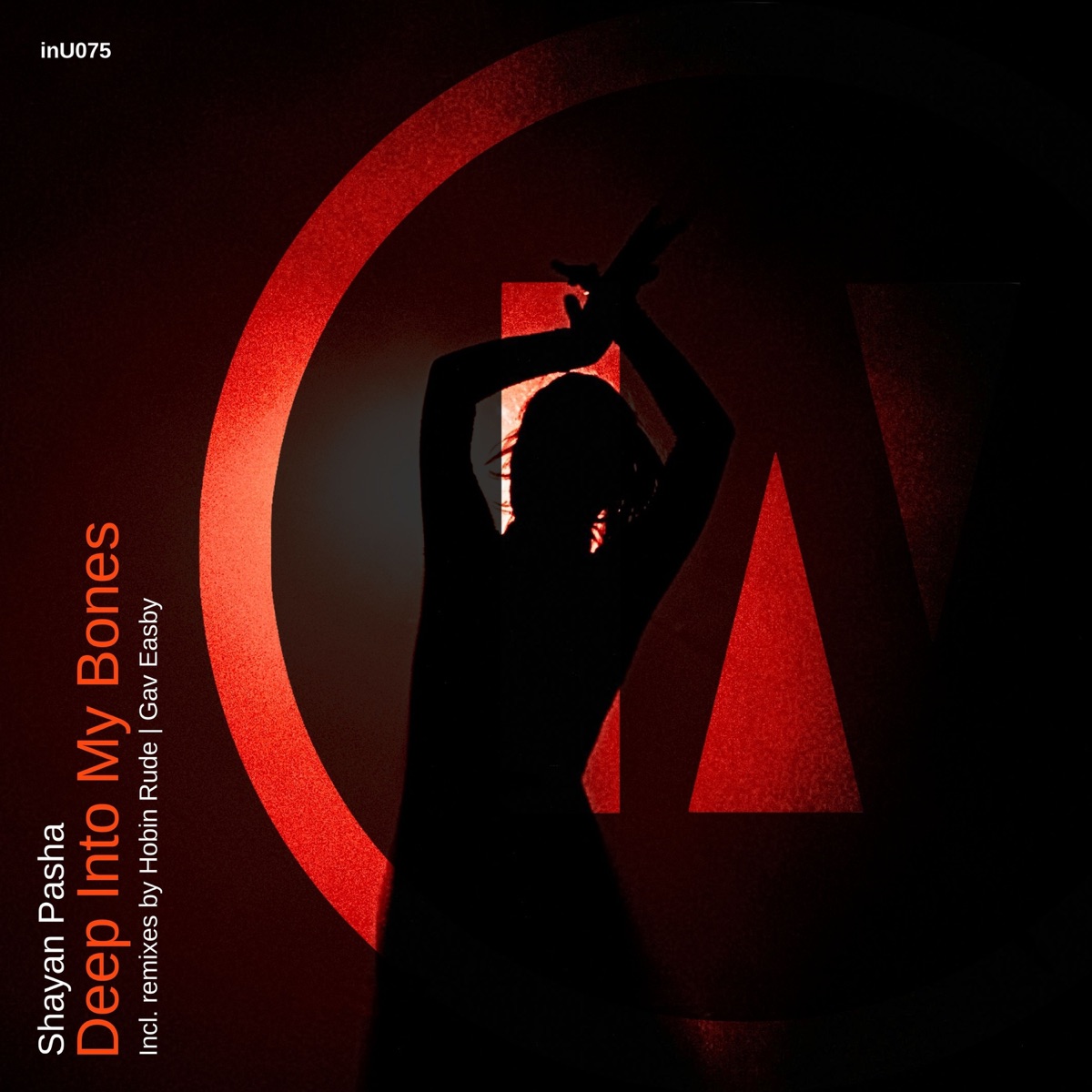 Deep Into My Bones (Hobin Rude Remix) Radio Edit - Single by Hobin Rude & Shayan Pasha album cover