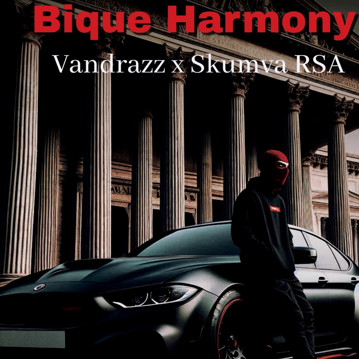 Bique Harmony (Demo) - Single by Vandrazz & Skumva RSA album cover