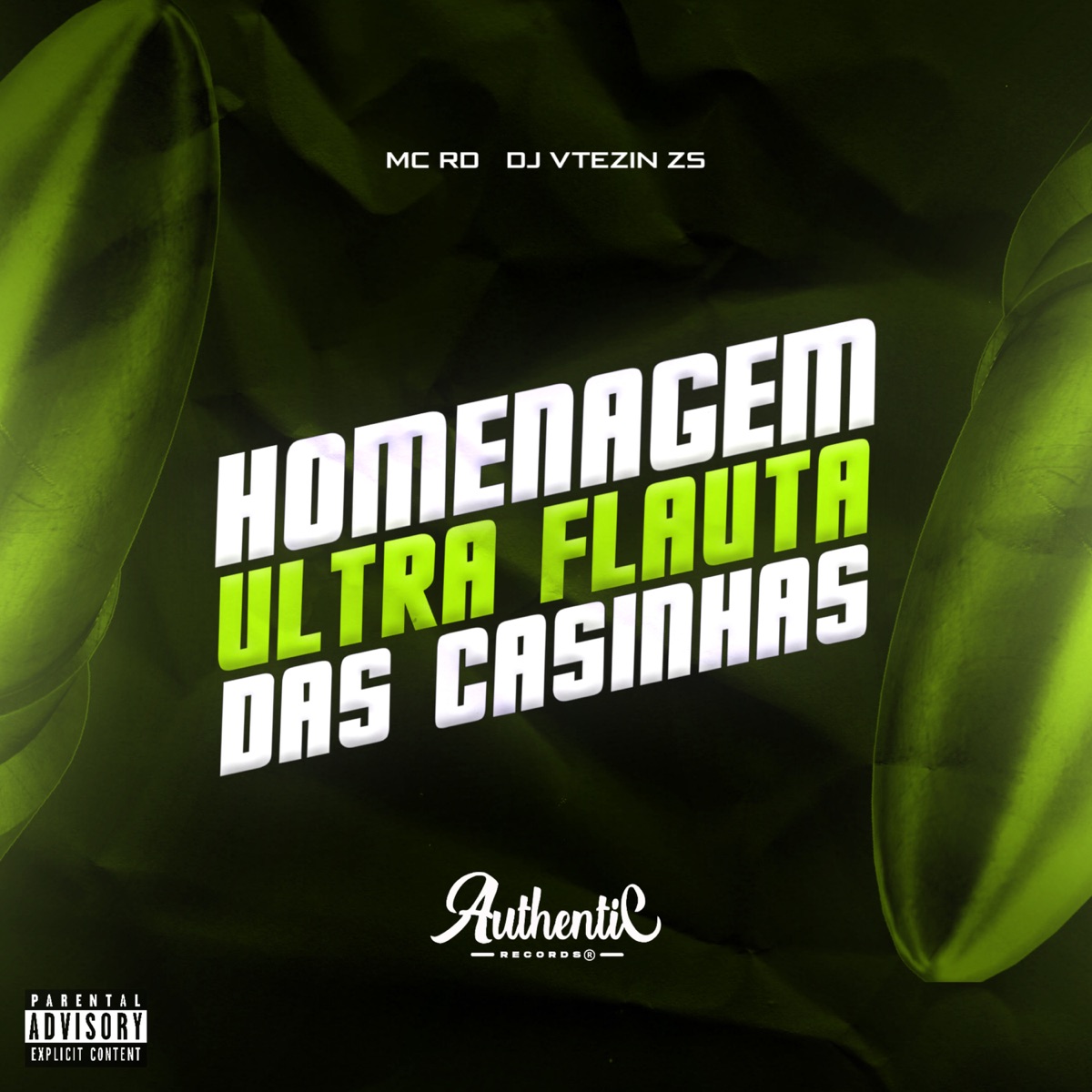 Homenagem Ultra Flauta das Casinhas - Single by DJ VTEZIN ZS & Mc Rd album cover