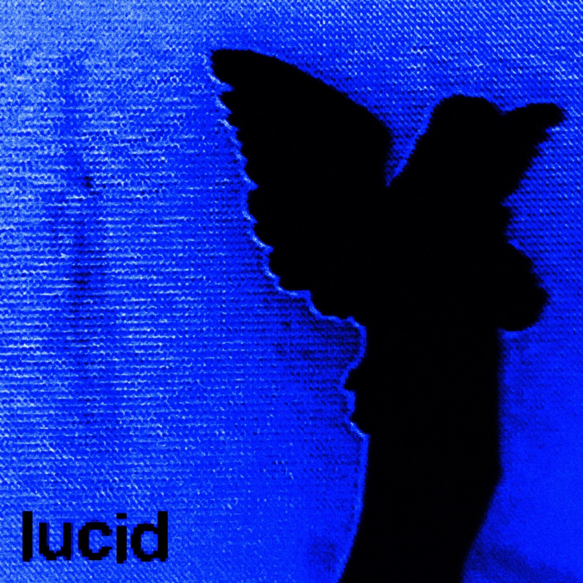 Lucid (feat. loneboymoonlight) - Single by Shawtypassedout album cover