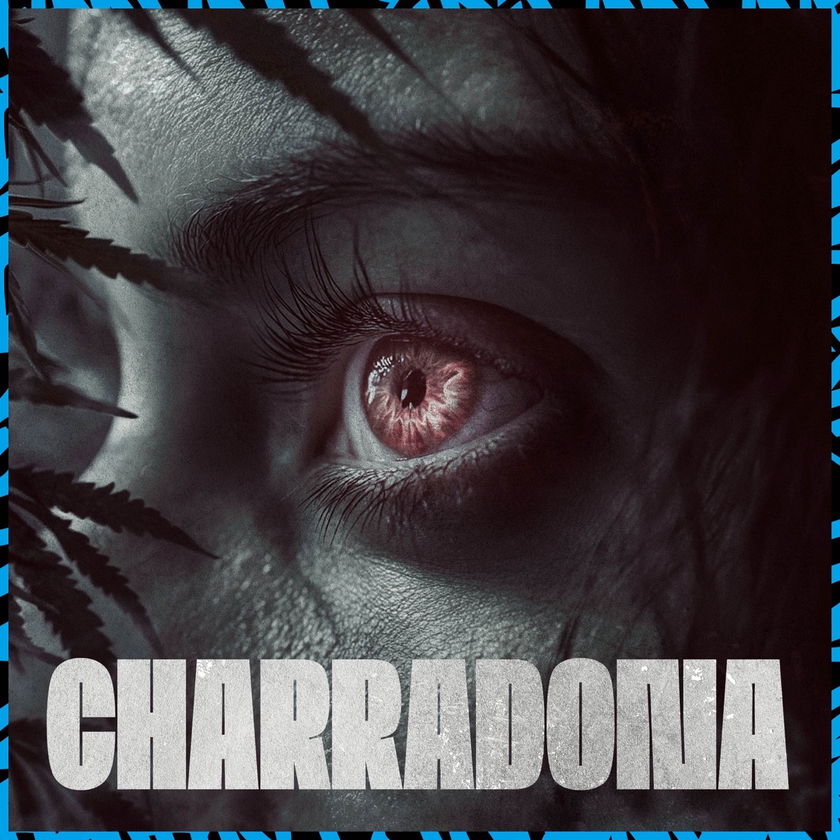 Charradona - Single by MC Alex DS & WBoy album cover