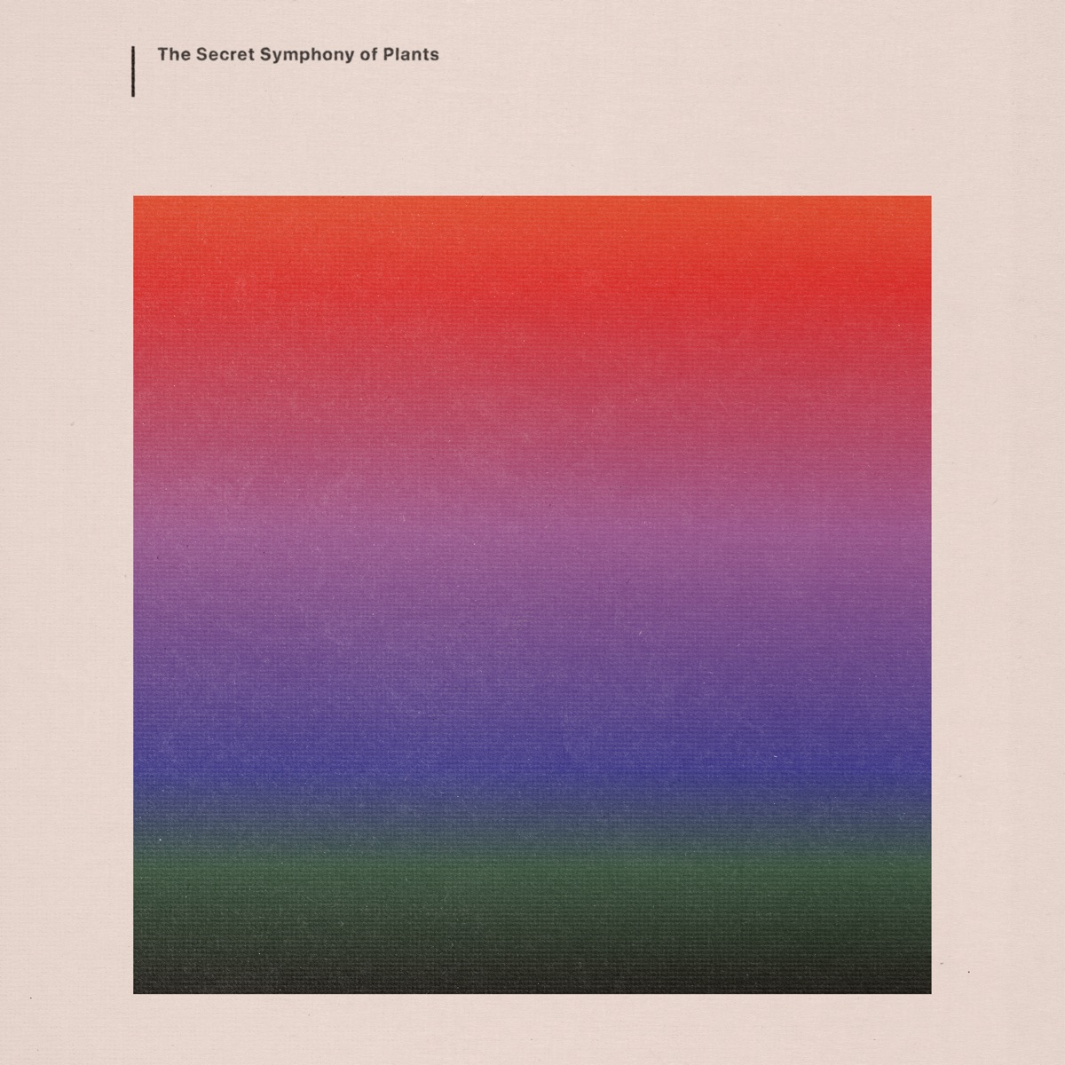 The Secret Symphony of Plants by Brent Chancellor, Kaitlyn Aurelia Smith, Ricardo Romaneiro & Lux Ensemble album cover