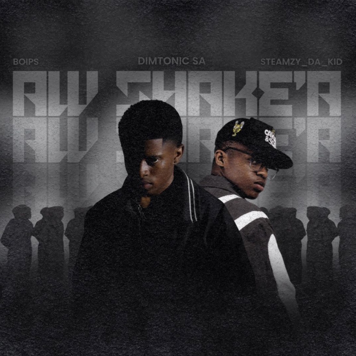 AW SHAKE'A (feat. Boips & Steamzy_Da_Kid) - Single by Dimtonic SA album cover