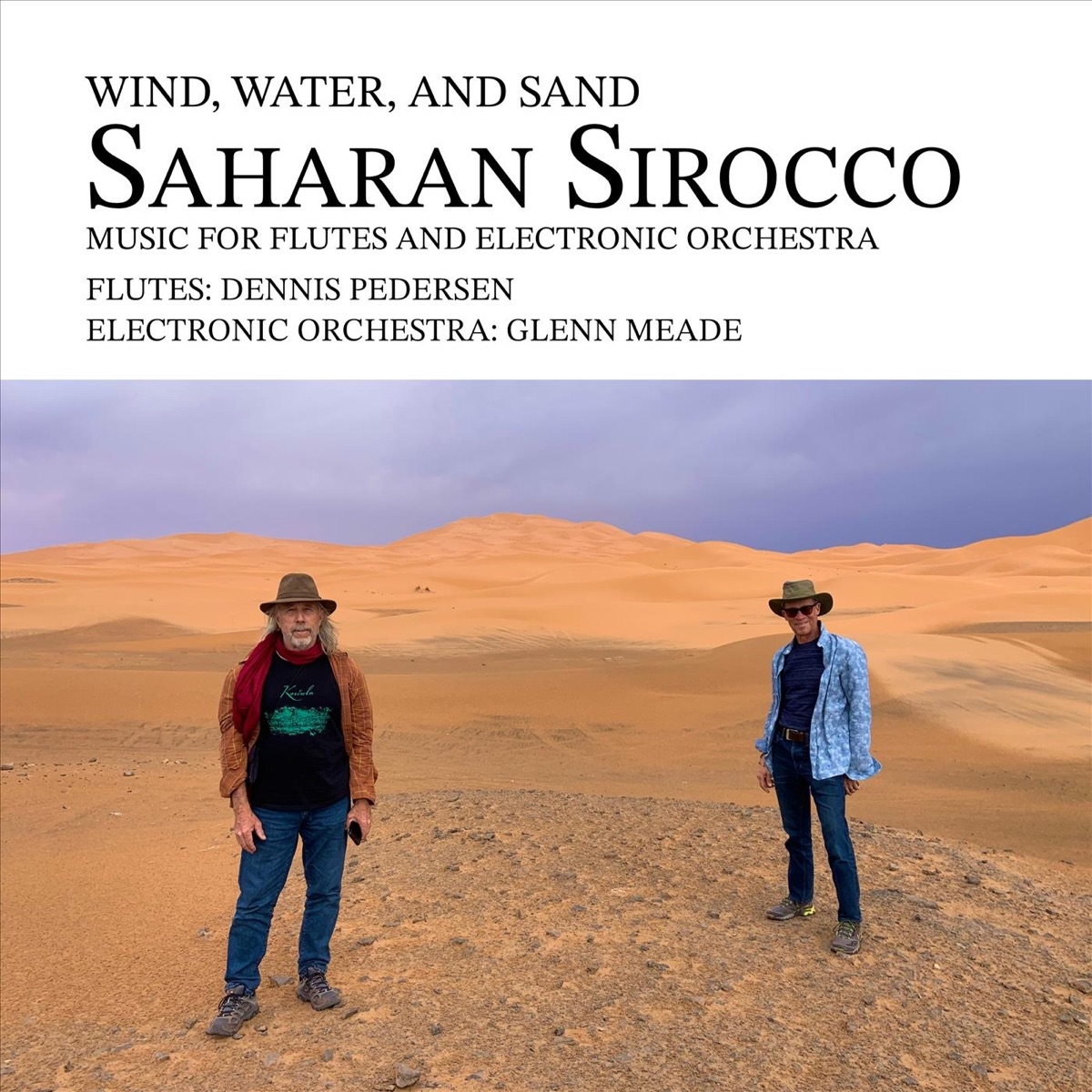 Wind, Water, And Sand - Saharan Sirocco by Glenn Meade & Dennis Pedersen album cover