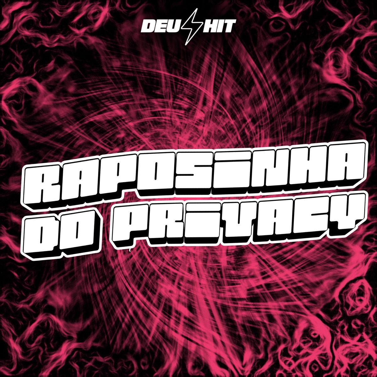 Raposinha do Privacy - Single by VITIMM & MC Max da CT album cover